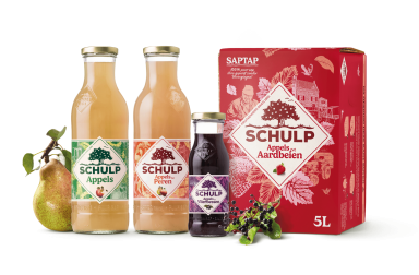 Schulp
